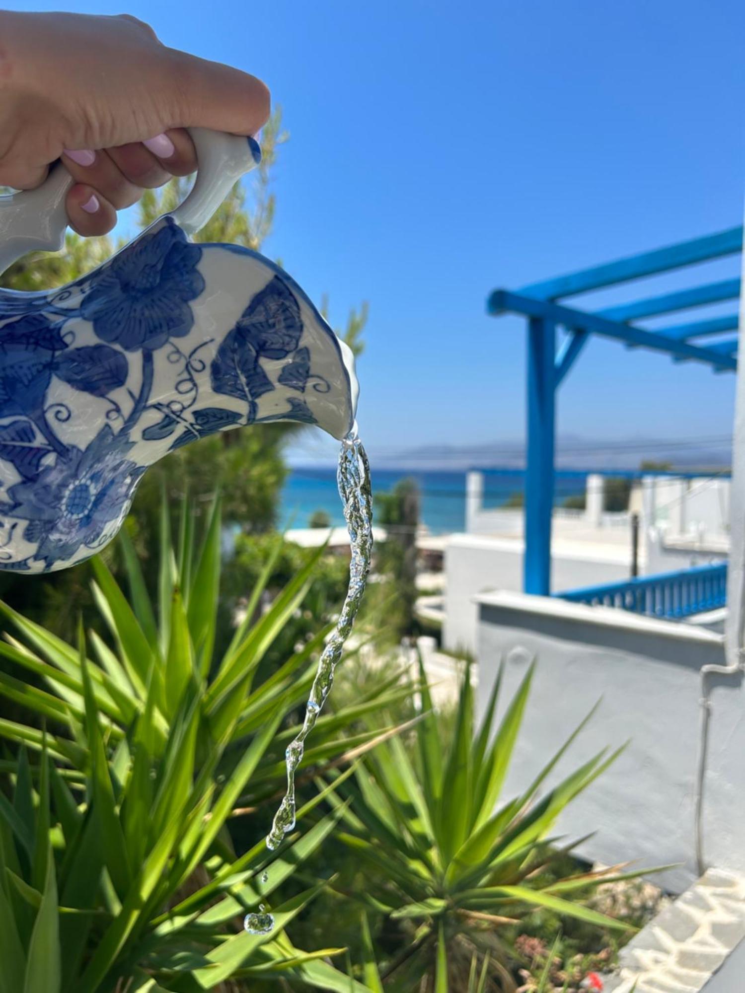 Sea View Apartments & Studios Agia Anna  Стая снимка