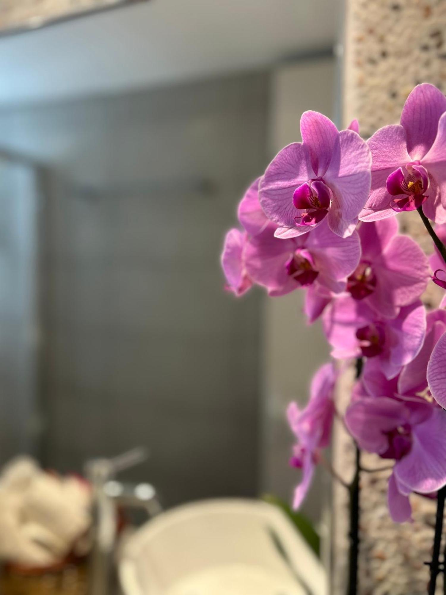 Sea View Apartments & Studios Agia Anna  Стая снимка